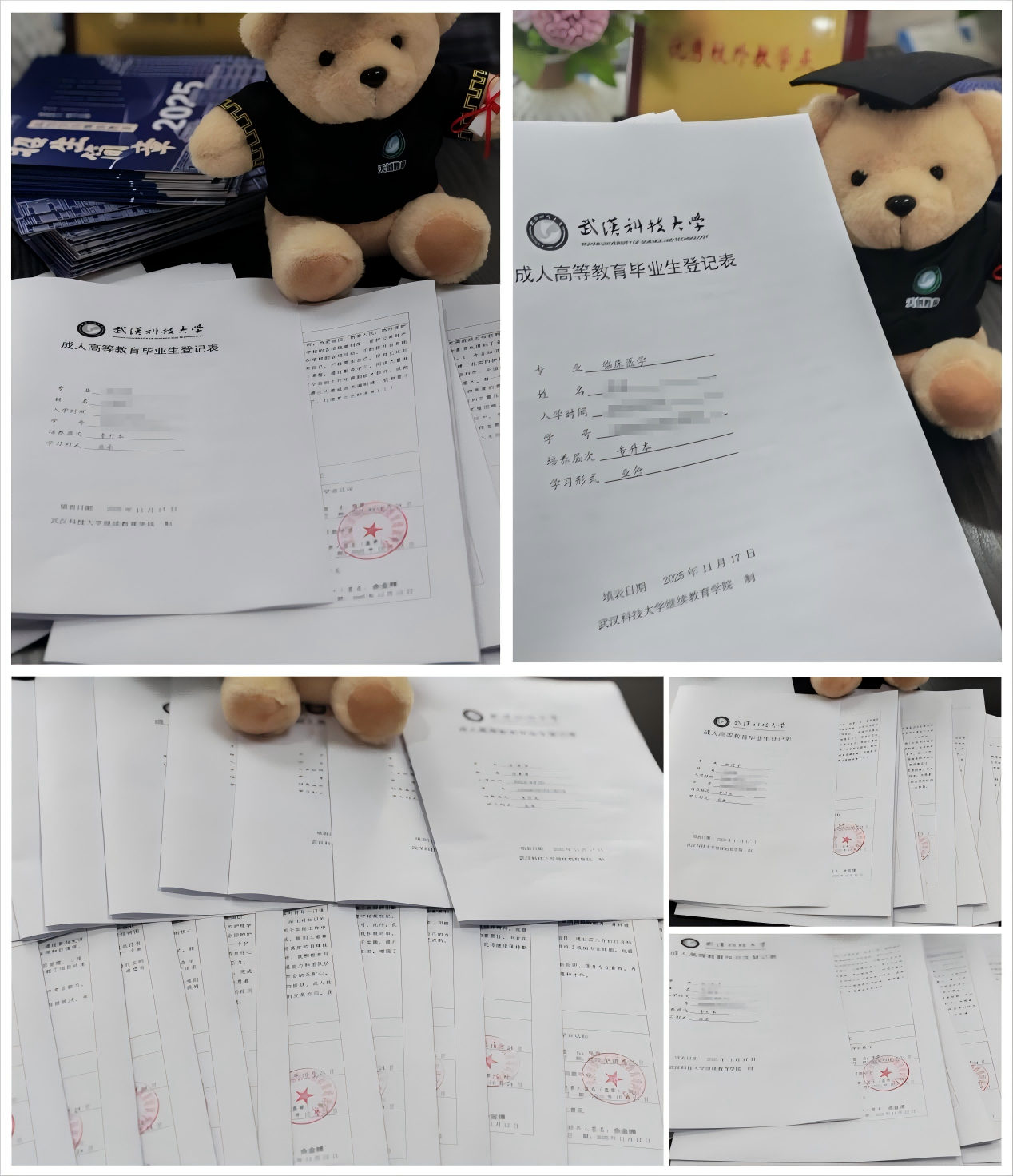 精细服务，学历提升！武汉天创教育顺利完成武汉科技大学2025年成教本科毕业流程办理